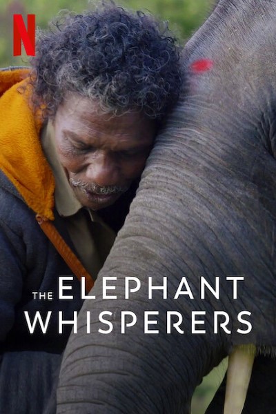 ดูหนังออนไลน์ The Elephant Whisperers คนกล่อมช้าง (2022)